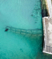 Urban Nursery | Oceanographic 14