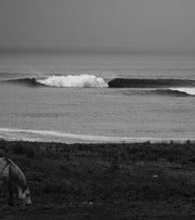 Beyond The Noise | Online Release