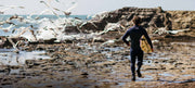 model running across rocks towards the surf as birds fly away
