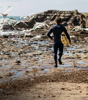 model running across rocks towards the surf as birds fly away