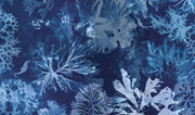 Anna Atkins