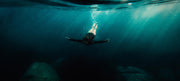 Julianna diving