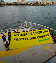Deep Sea Mining